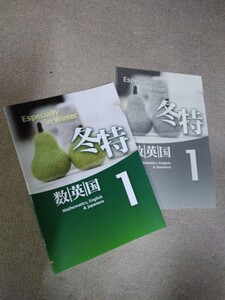 「値下げ」中学1年【冬特】塾専用教材◆数学・英語・国語◆解答有