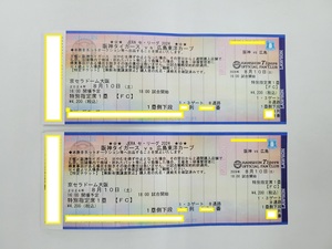 8月10日(土) 18:00　阪神vs広島 京セラドーム 　送料無料！！