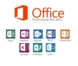 Office 2013 Professional Plus プロダクトキー 決済即発送 日本語 ダウンロード 認証保証