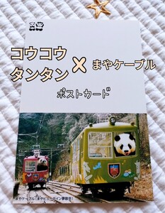 初期 2001年『 コウコウ タンタン× 麻耶ケーブル』ポストカード 王子動物園　リーリーシンシン