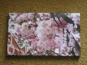 平成22年 桜の通り抜け 都錦　ミントセット　2010年