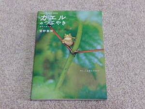 カエルのつぶやき　ポストカード　2004年7月　新風舎発行