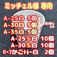 プラ鉢おためしセット♪【A-25・30・35 各5個】プレステラ多肉植物81