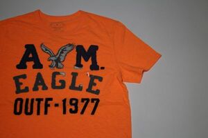 【古着美品アメリカンイーグルアウトフィッターズプリントTシャツMオレンジ色】AMERICANEAGLE OUTFITTERSニューヨークアメカジ