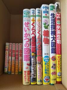 【送料無料】図鑑6冊　NEO 学研　小学館　クイズブック5冊　まとめて