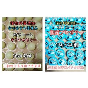 国産ゼリー KBファーム すこやかゼリー 16g 40個 プロゼリー 16g 40個 カブトムシ クワガタ 昆虫