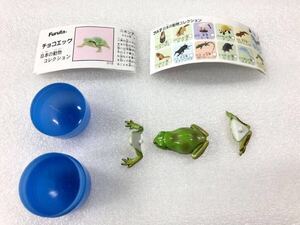 ★即決★チョコエッグ★日本の動物★第１弾★ニホンアマガエル★未使用★未組立品★カプセル・ミニブック付き★海洋堂★松村しのぶ★