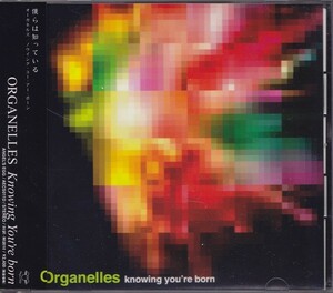 オーガネルズ / ORGANELLES / ノウイング・ユー・アー・ボーン/中古CD!!58098