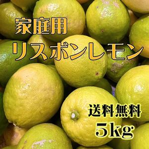 熊本県産レモン リスボン 家庭用5kg 送料無料