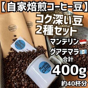 【匿名配送】自家焙煎コーヒー豆　濃いめのブラック好きに！コク深い珈琲豆2種セット(マンデリン、グアテマラ)400g 約40杯分　(豆or粉)