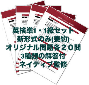 2024年最新版　●英検1級・準1級セット●新形式ライティング（要約）オリジナル問題　各２０問＋模範解答３種　ネイティブ監修　英作文