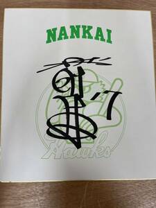 NANKAI Hawks 南海ホークス 加藤伸一 17番 サイン色紙 直筆 印刷 不明 野球 プロ野球 選手 グッズ スポーツ
