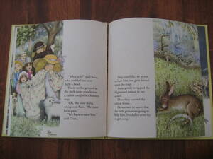 SALE 英語 洋書★Once Upon a Time in the MEADOW★Rose Selarose English