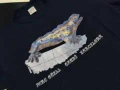 PARC GUELL GAUDI BARCELONA モザイク トカゲ Tシャ