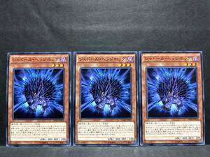 遊戯王 nn777「シャドール・ヘッジホッグ」×3枚　ノーマル　DUEA