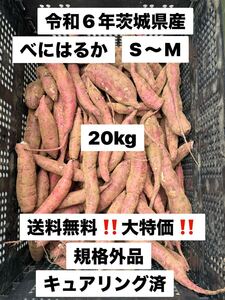 令和6年茨城県産　サツマイモ　さつまいも　紅はるか　20キロ　訳あり　20k 家庭用