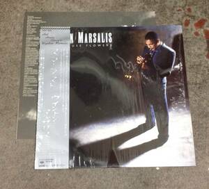 Wynton Marsalis 1 lp , Japan press