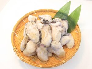 【Max】広島産！カキ２Ｌサイズ１ｋｇ(２５個～３５個入り)