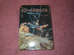 ケンペルの見た巨蟹 静岡県の海と生きもの　静岡新聞社
