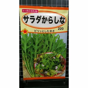 ３袋セット サラダ からし菜 カラシナ 種 郵便は送料無料