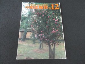 本 No1 02628 小原流挿花 1978年12月号 家元講座 花暮らし 随筆 -思い出の人- 十六無三四 第12回日本いけばな芸術西地区展 東京支部花展