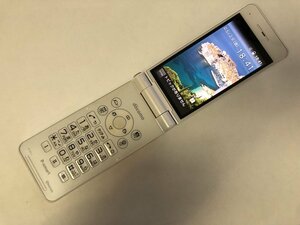 GL138 docomo P-01J 判定〇 ジャンク