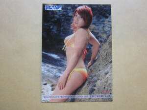 華名 ASUKA WWE 水着トレカ 2013 BBM 女子プロレス №111 即決