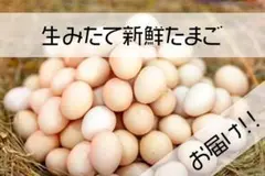 信州産 濃厚 割るたび感動 超でかたまごのみ 34個 +2玉保証つき #y