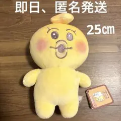 んぽちゃむ ぬいぐるみ ましゅもっち　んぼちゃむ　アミューズメント景品