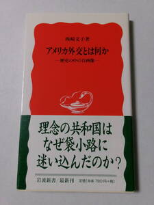 西崎文子『アメリカ外交とは何か：歴史の中の自画像』(岩波新書)