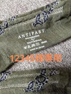 ANTIPAST earthman 花柄ソックス size2