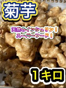 美味しい菊芋を是非！ 無農薬 1キロ 採れたて キクイモ スーパーフード 健康食　菊芋