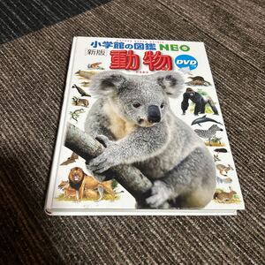 ★ 図鑑⑥ 小学館の図鑑　NEO 新版　動物　DVDなし