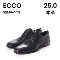 【ECCO】エコー 25.0 レースアップシューズ 本革　ビジネスシューズ 黒