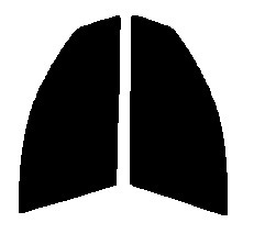 スモーク　２６％　2層構造フィルム　運転席・助手席　ブルーバードシルフィ　G10　カット済みカーフィルム　