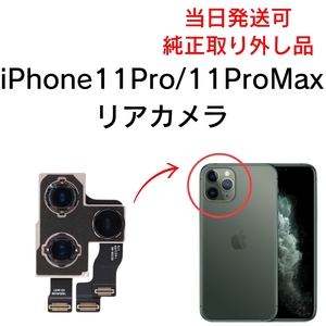 Apple 純正 取り外し品 iPhone11Pro 11ProMax リアカメラ メイン リヤ リア バック アイフォン 交換 修理 背面 iSight カメラ 外 部品