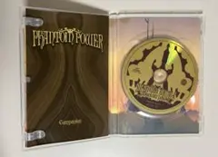 Super Furry Animals : Phantom Power DVD