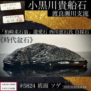 【信濃美術石博物館】最低落札価格有 水石 盆栽 《時代盆石》小黒川貴船石 ウブ ソゲ 西川恵石氏 自採石 1.3kg骨董盆石鑑賞石観賞石 5824