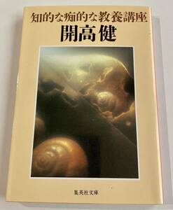 開高健☆知的な痴的な教養講座☆集英社文庫☆2006年第22刷☆匿名配送