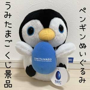 くじ景品 限定 うみたまご ペンギン ぬいぐるみ 水族館 大分 動物 アニマル