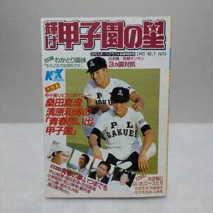 輝け甲子園の星 秋季特別号 1985.No.7 日刊スポーツグラフ第64号