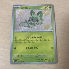 ポケモン          ニャオハ 色違い           ニャオハ s