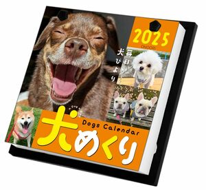 犬めくり 2025年 カレンダー 日めくり CK-D25-01