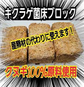 カブトムシ幼虫の栄養強化に！キクラゲ菌床【3ブロック】マットに埋めるだけで幼虫がモリモリ食べます！クワガタの産卵床にも！クヌギ100％