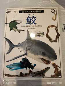 同朋舎出版 ビジュアル博物館 第40巻 鮫 シャーク
