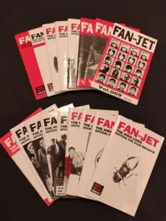 ザ・ハイロウズ　FAN JET ファンクラブ会報（おまけ付）