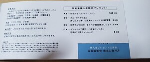 乃木坂46 五百城茉央　写真集　未来の作り方　応募券1枚