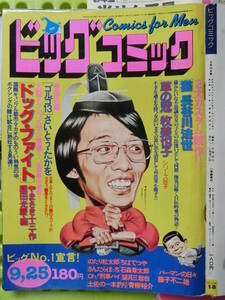 ビッグコミック 1979/ 9/25日号 秋野暢子22才,さだまさし27才,秋山庄太郎59才,園田光慶39才,牧美也子44才,長谷川法世34才,日暮修一43才