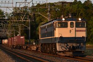 【鉄道写真】EF65-2068牽引　鹿島貨物 1092レ　＠佐倉～物井　L版　(商品番号192)