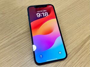 iPhone12 【ジャンク訳あり品】ブルー　256GB　MGJ33J/A　SIMフリー　初期化済み　バッテリーの減りが早い